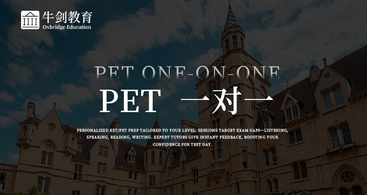 pet一对一