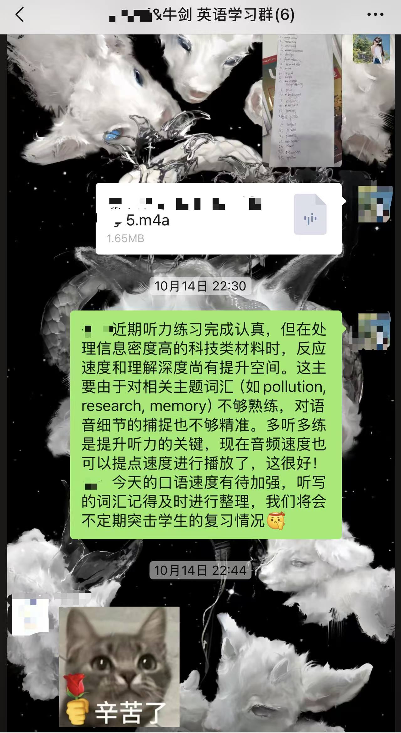 作业反馈