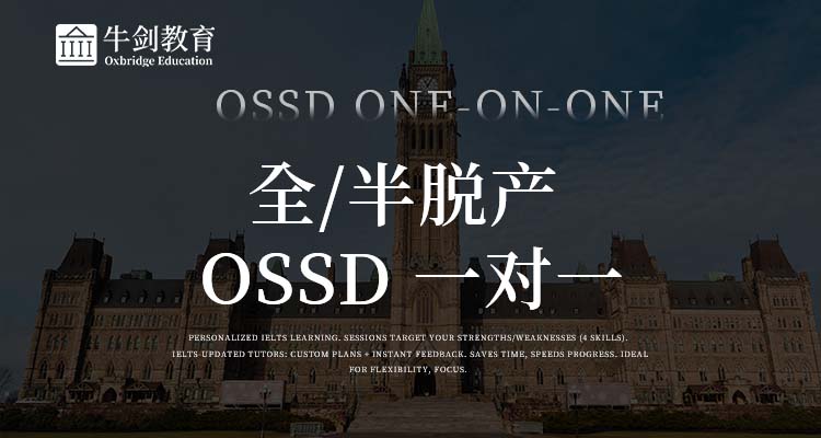 全脱产ossd一对一 拷贝 2